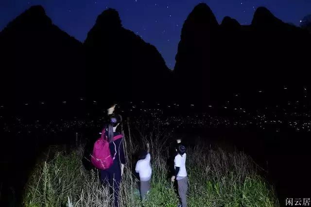 火影忍者OL